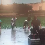 La Llar De Laura *